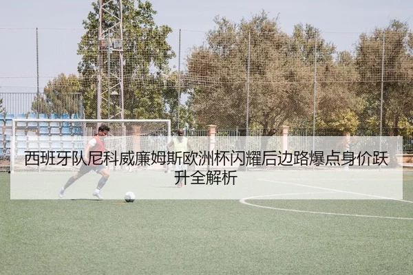 西班牙队尼科威廉姆斯欧洲杯闪耀后边路爆点身价跃升全解析